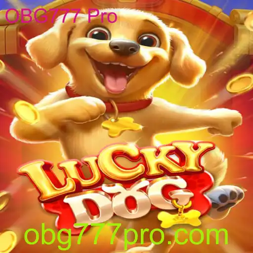 Descubra o Instigante Mundo de LuckyDog com OBG777 Pro